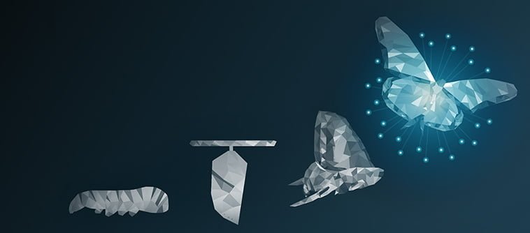 How to Study the Bible for Transformation | Online Training